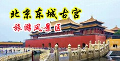 户外强奸乂X中国北京-东城古宫旅游风景区